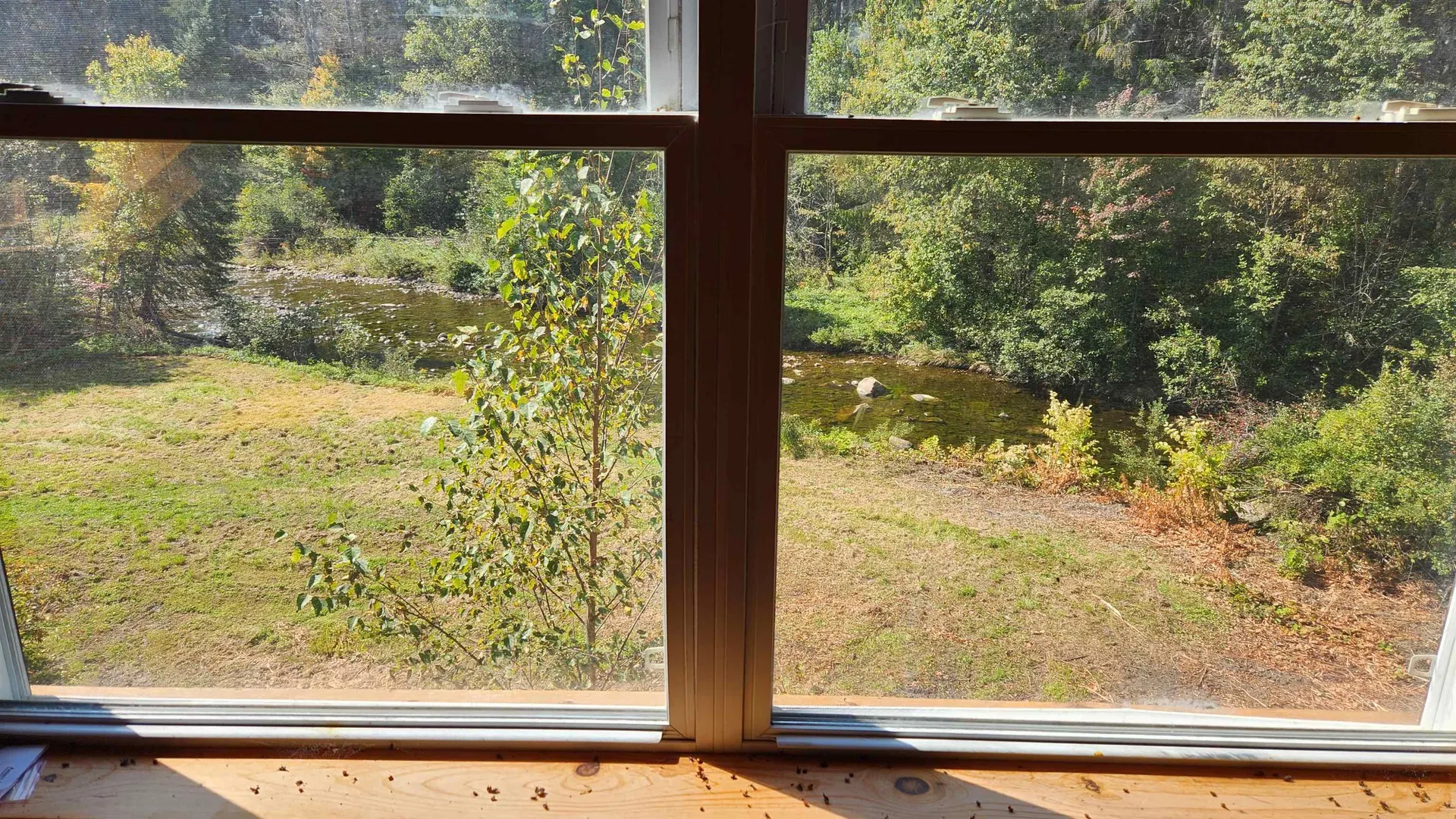 79 Lund Lane Granby VT 05840