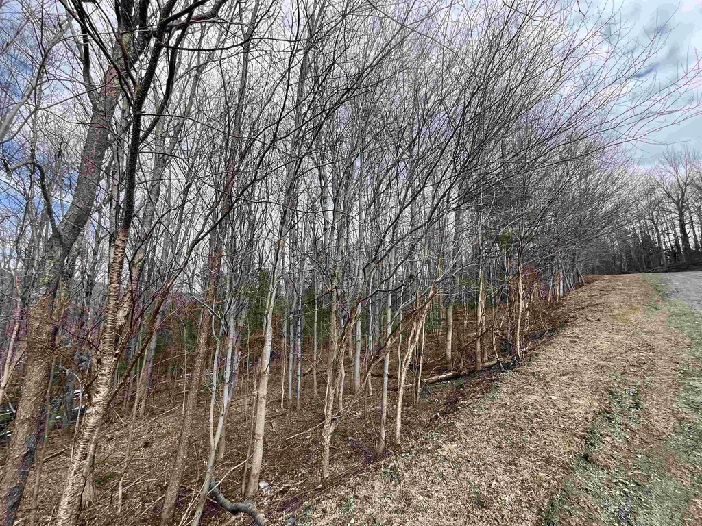 9 Barber Road Dover VT 05356