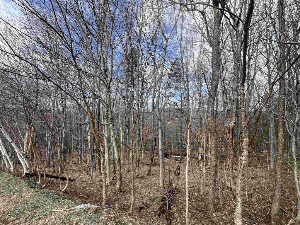 9 Barber Road Dover VT 05356