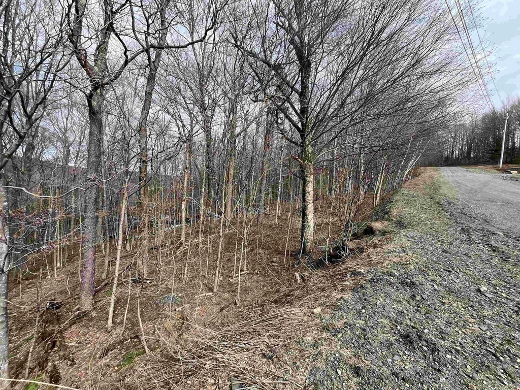 9 Barber Road Dover VT 05356