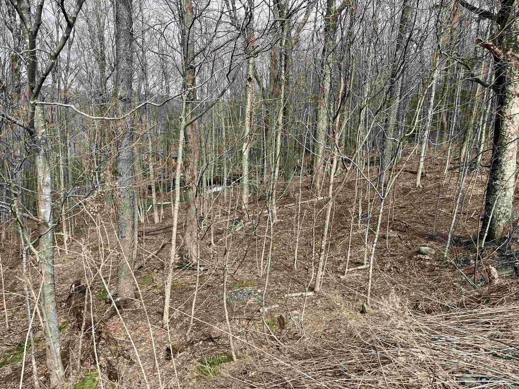 9 Barber Road Dover VT 05356