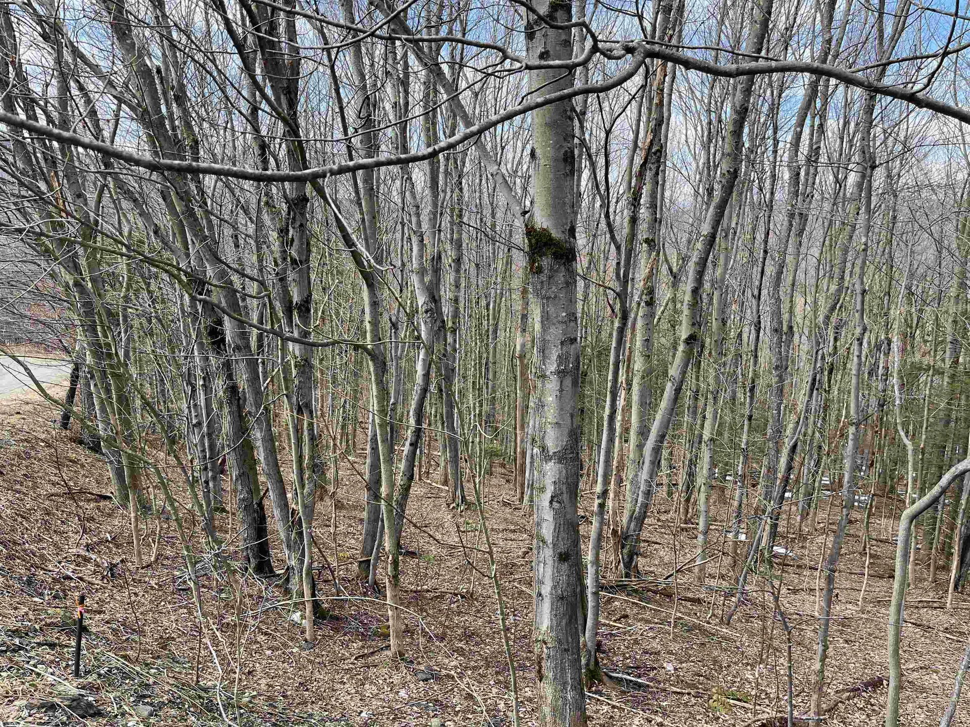 9 Barber Road Dover VT 05356