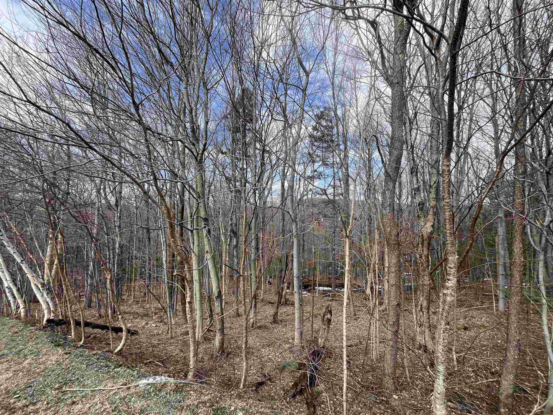 9 Barber Road Dover VT 05356