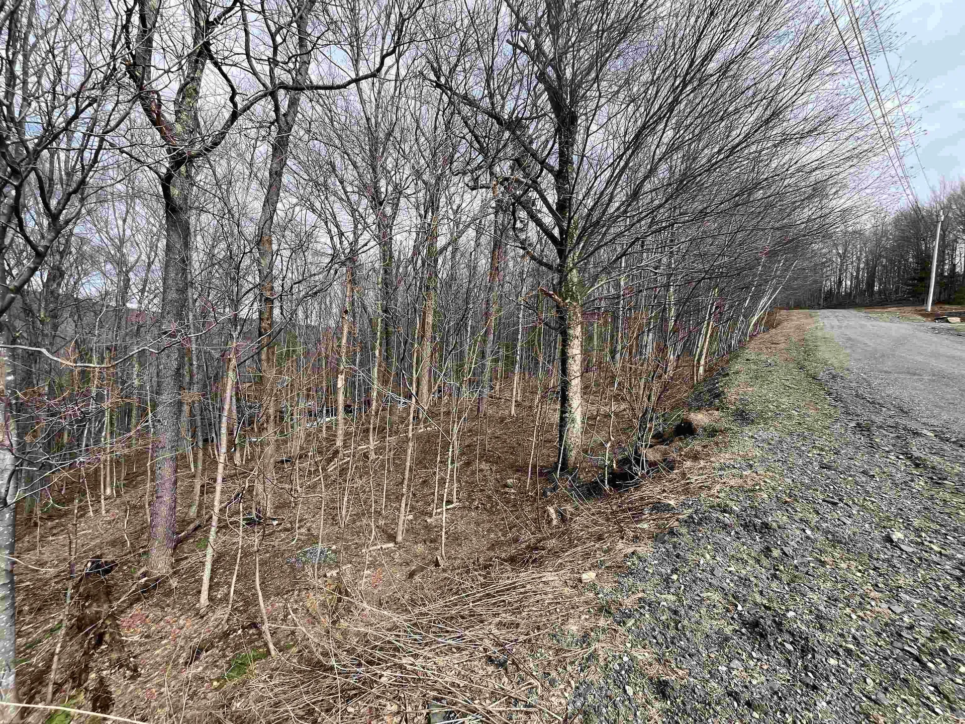 9 Barber Road Dover VT 05356