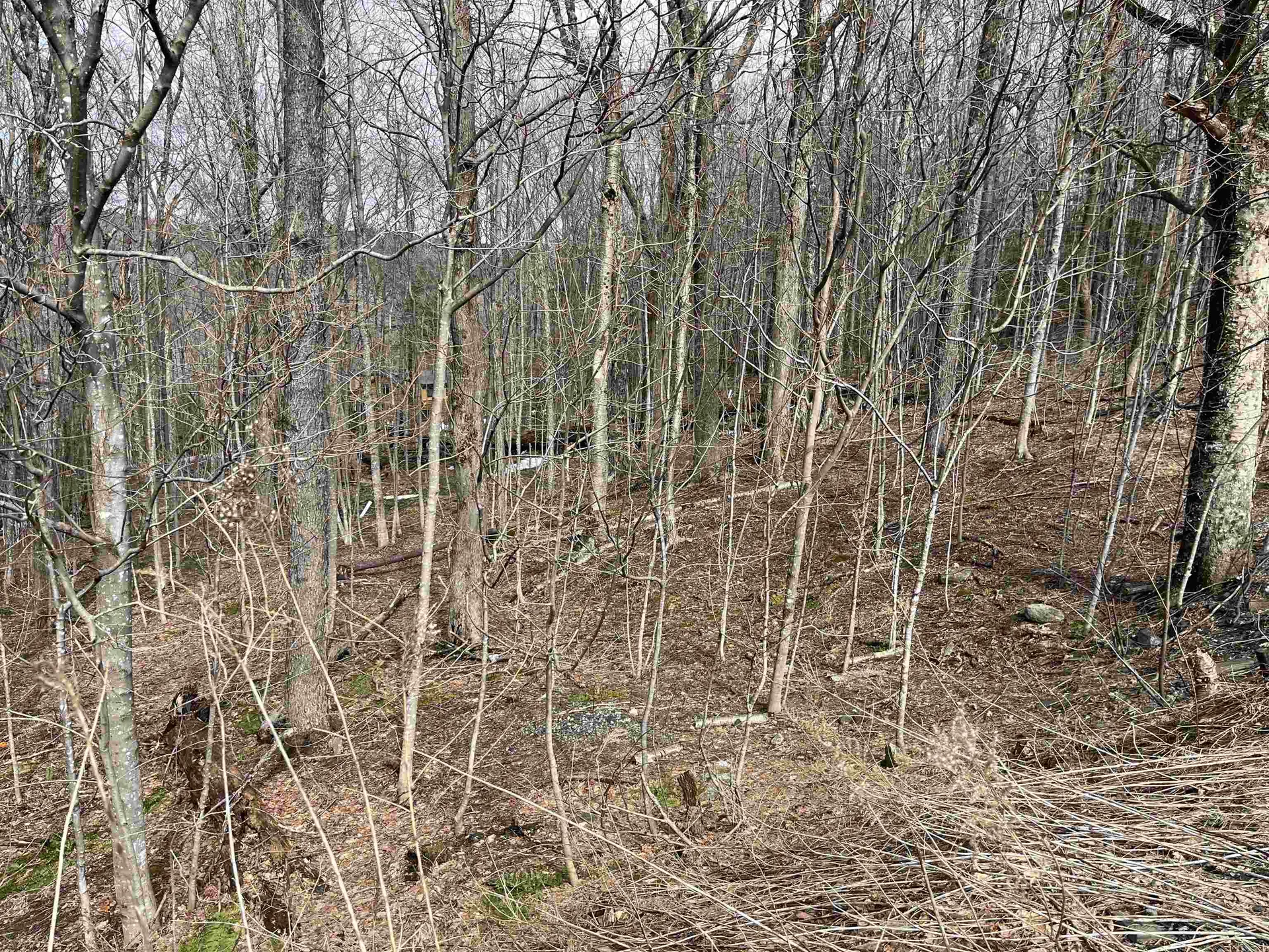 9 Barber Road Dover VT 05356