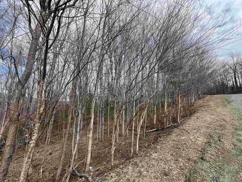 9 Barber Road Dover VT 05356