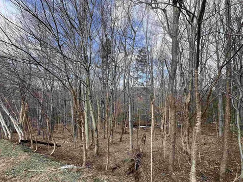 9 Barber Road Dover VT 05356