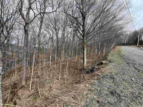 9 Barber Road Dover VT 05356