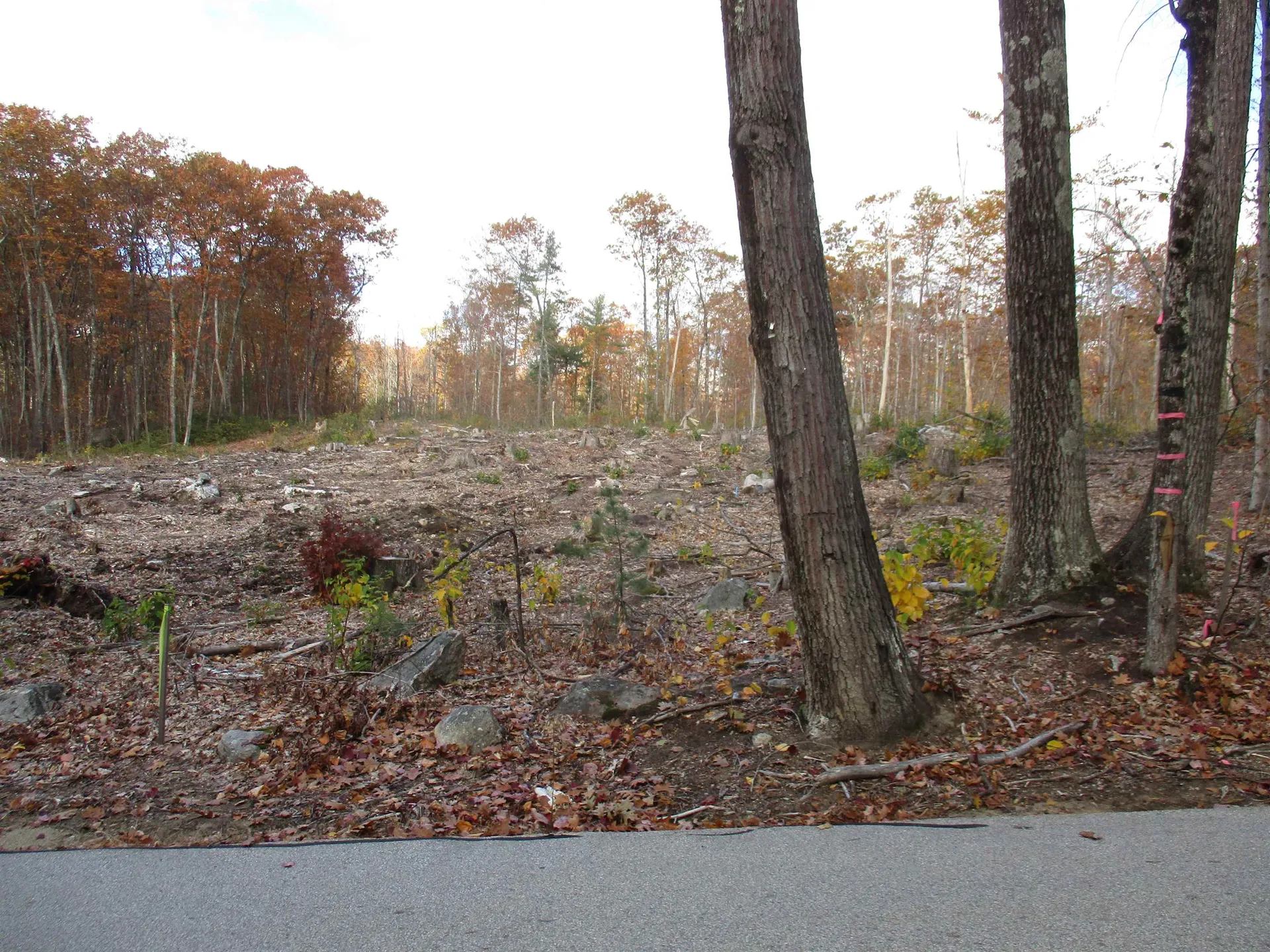 1-65-C Barrett Road Greenville NH 03048