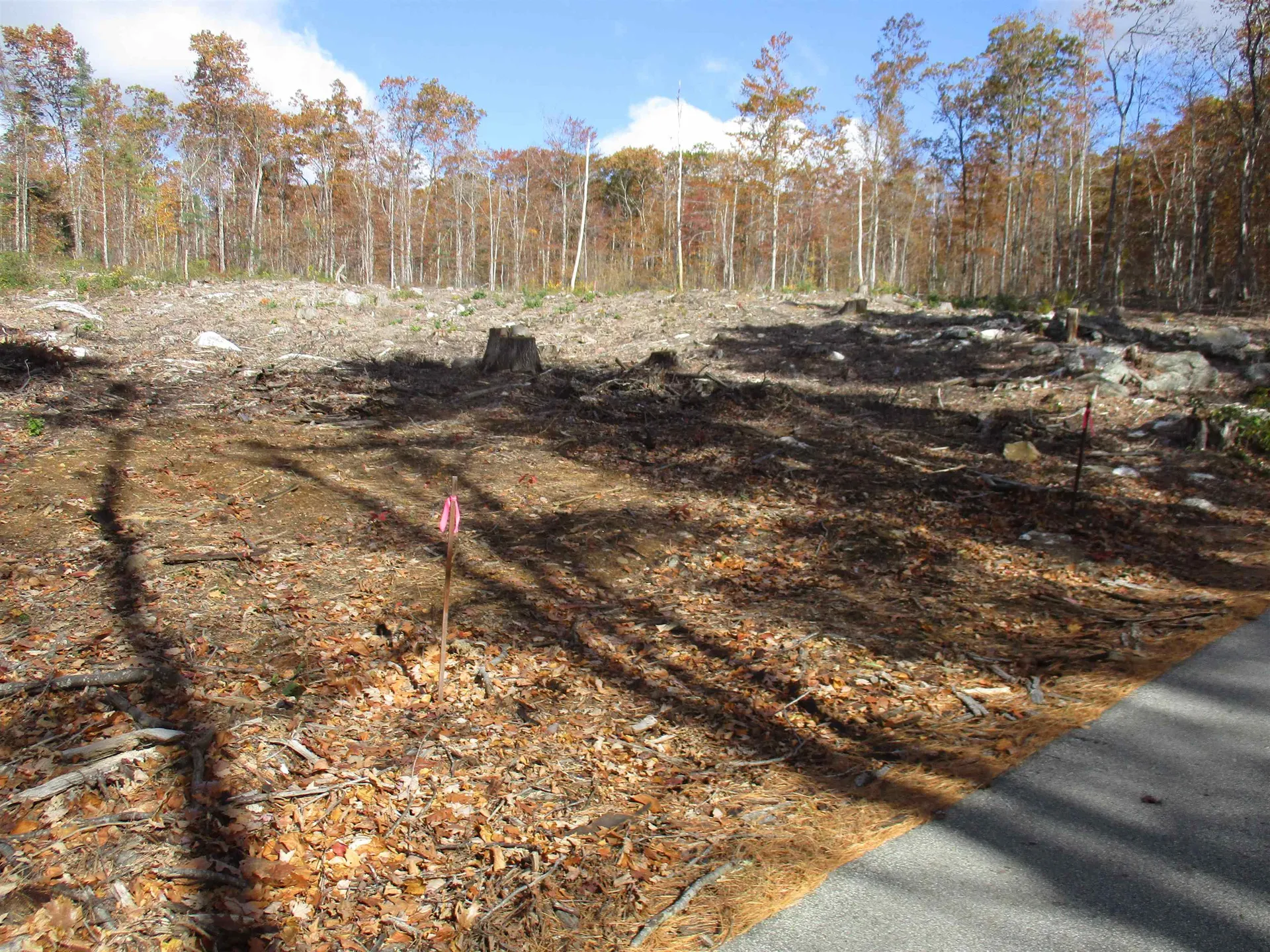 1-65-C Barrett Road Greenville NH 03048