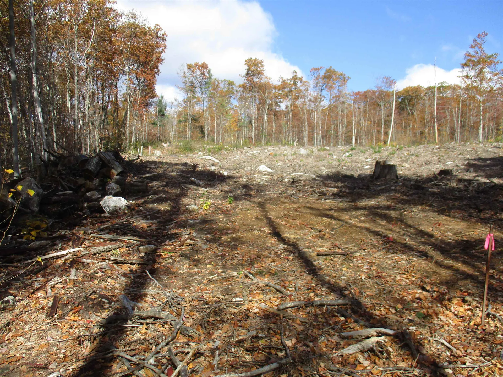 1-65-C Barrett Road Greenville NH 03048