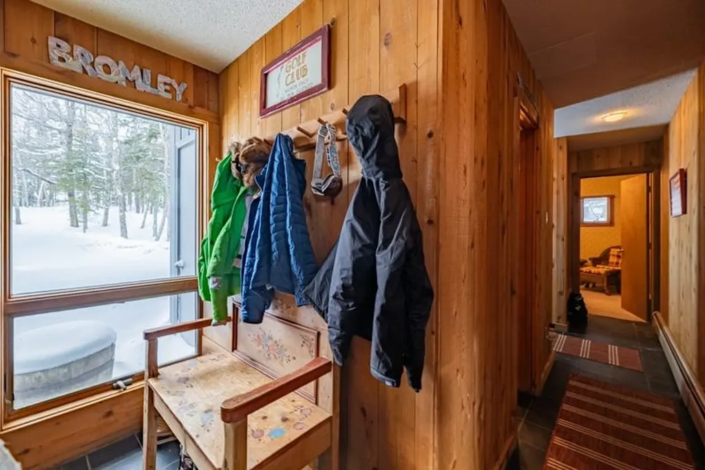 20 Blackberry Lane Peru VT 05152