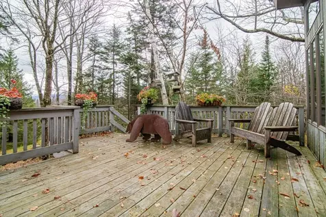 20 Blackberry Lane Peru VT 05152