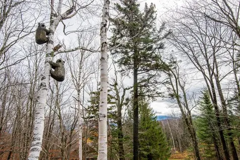 20 Blackberry Lane Peru VT 05152