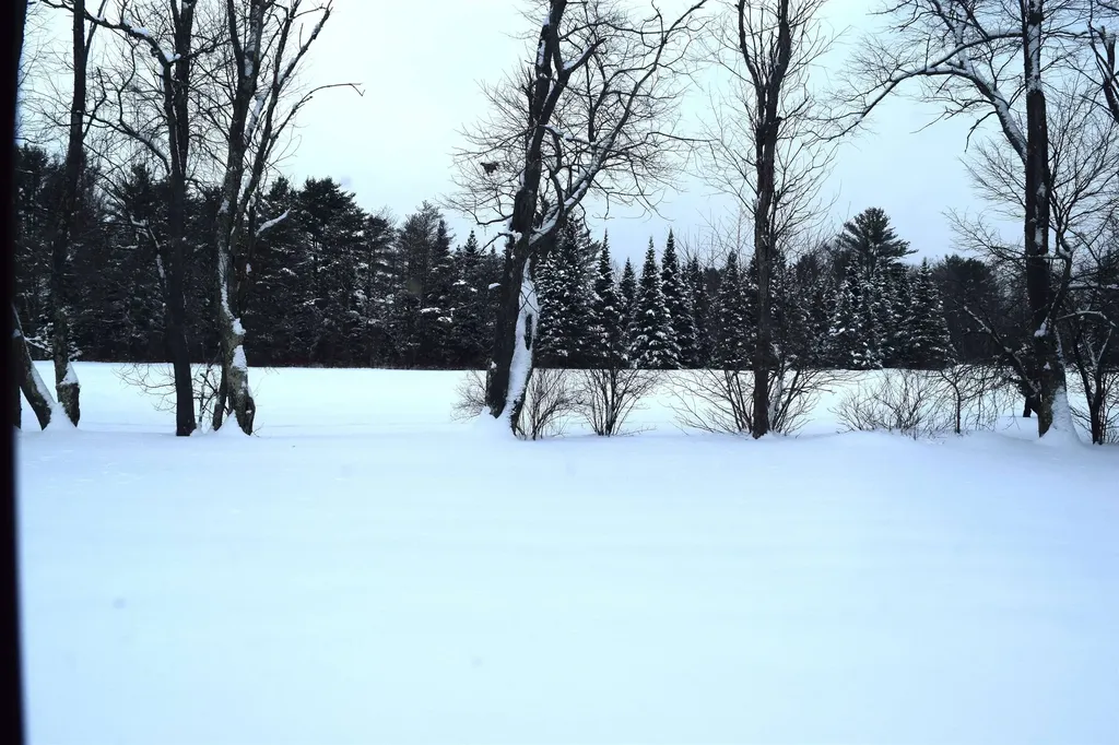 10 Starr King Park Lancaster NH 03584