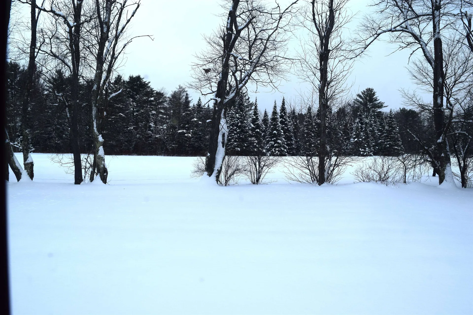 10 Starr King Park Lancaster NH 03584