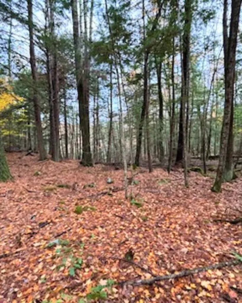 00 Concord Road Keene NH 03431