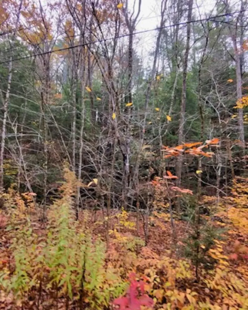 00 Concord Road Keene NH 03431