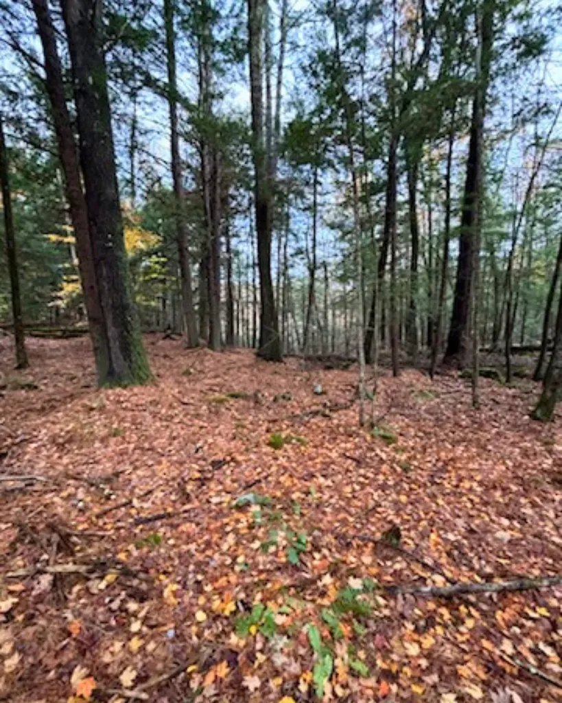 00 Concord Road Keene NH 03431