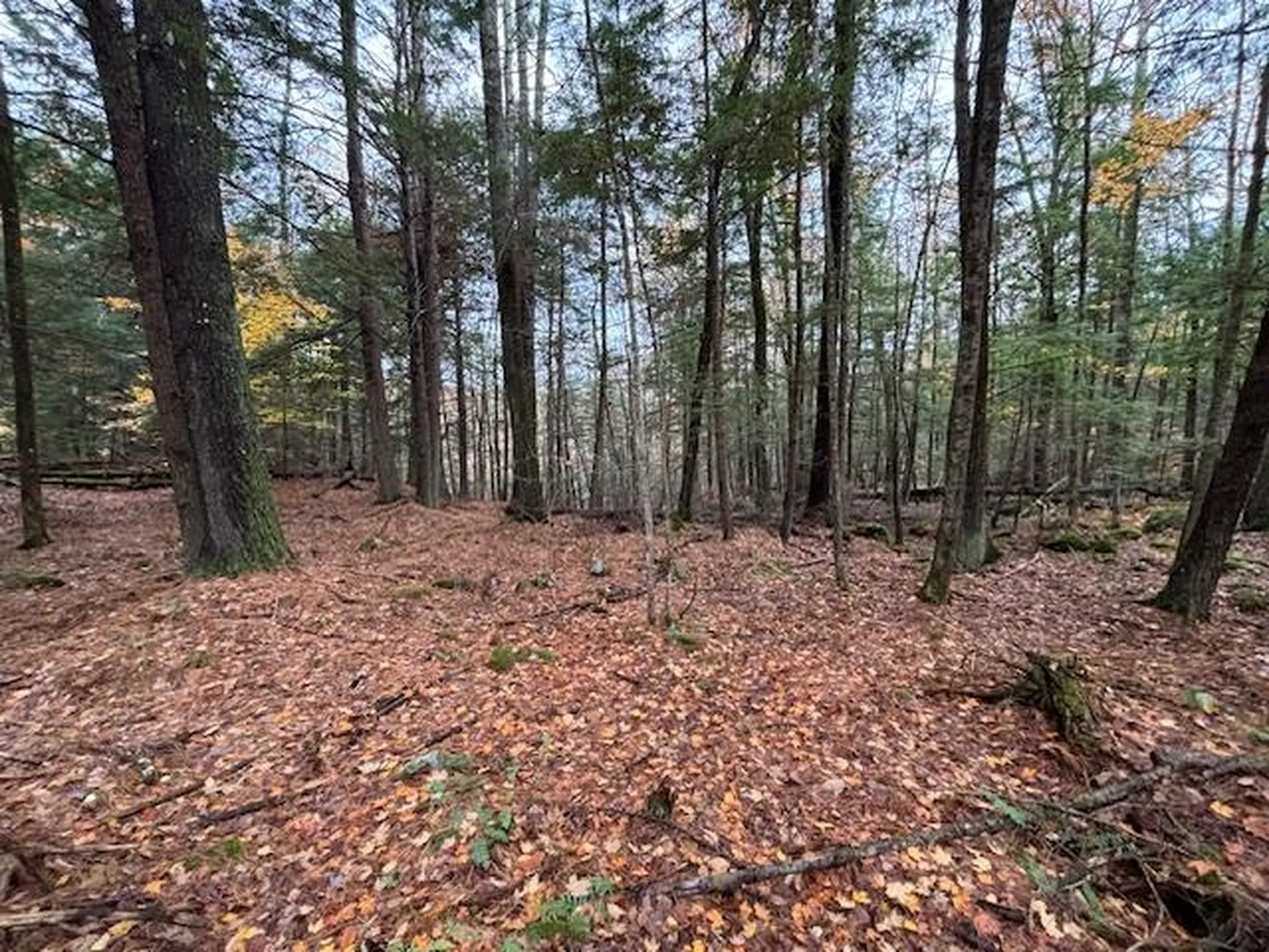 00 Concord Road Keene NH 03431