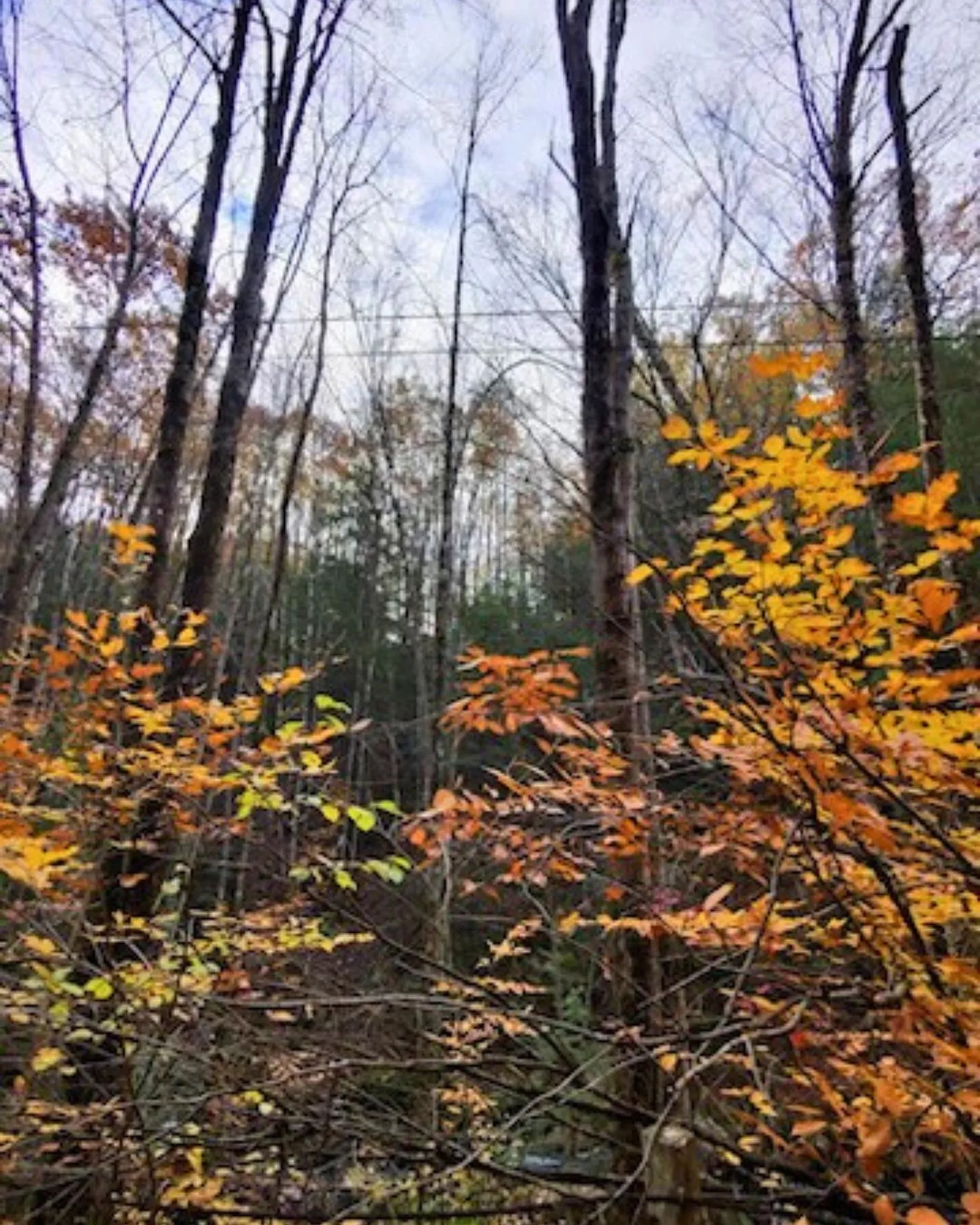 00 Concord Road Keene NH 03431