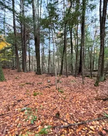 00 Concord Road Keene NH 03431