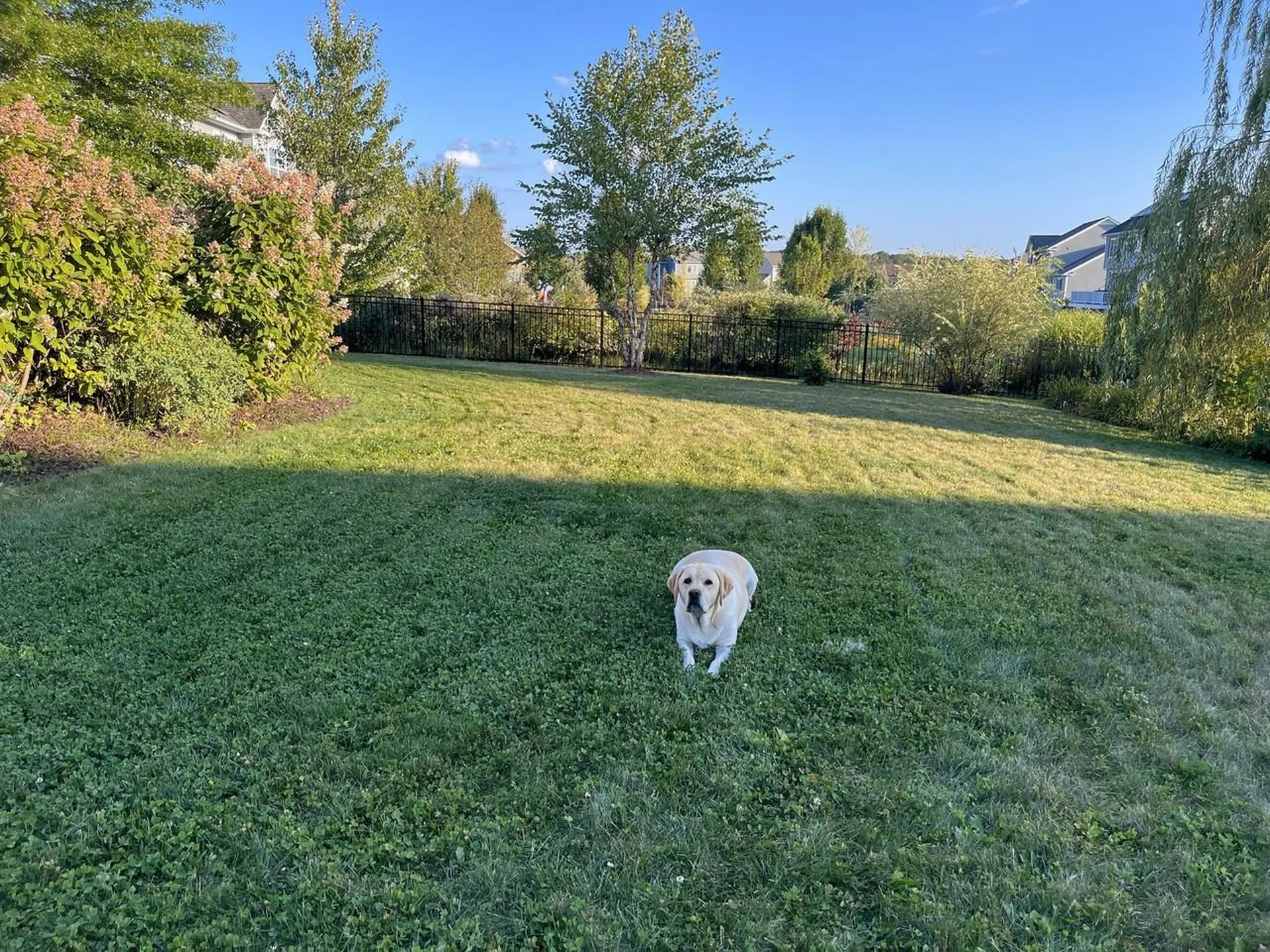 144 Royal Drive South Burlington VT 05403