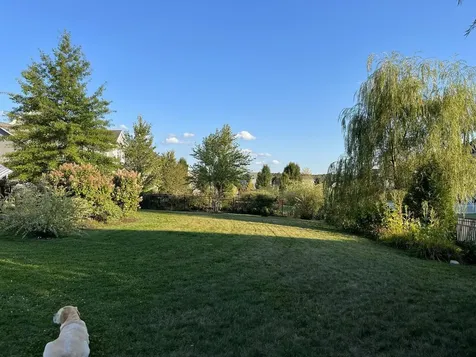 144 Royal Drive South Burlington VT 05403