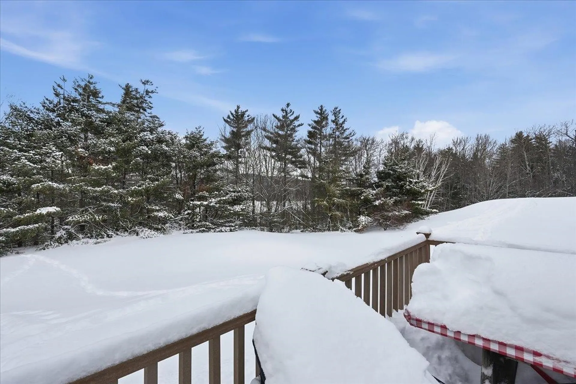 1B N Peak Village Newbury NH 03255