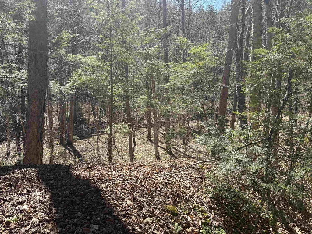 2451 Camp Brook Road Bethel VT 05032