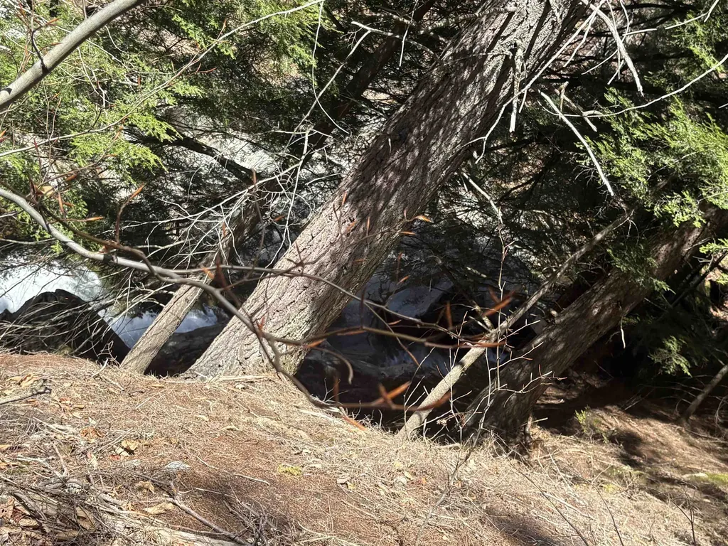 2451 Camp Brook Road Bethel VT 05032