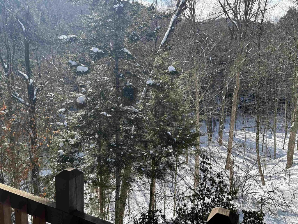 2451 Camp Brook Road Bethel VT 05032