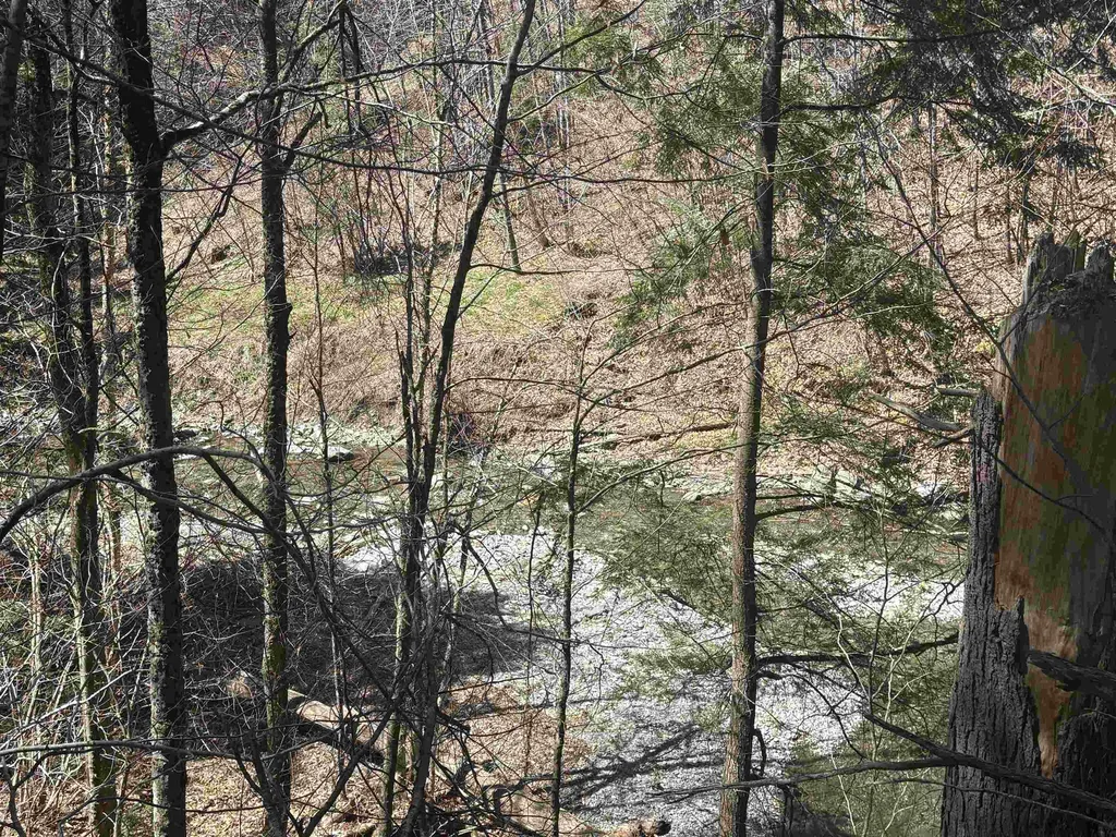 2451 Camp Brook Road Bethel VT 05032