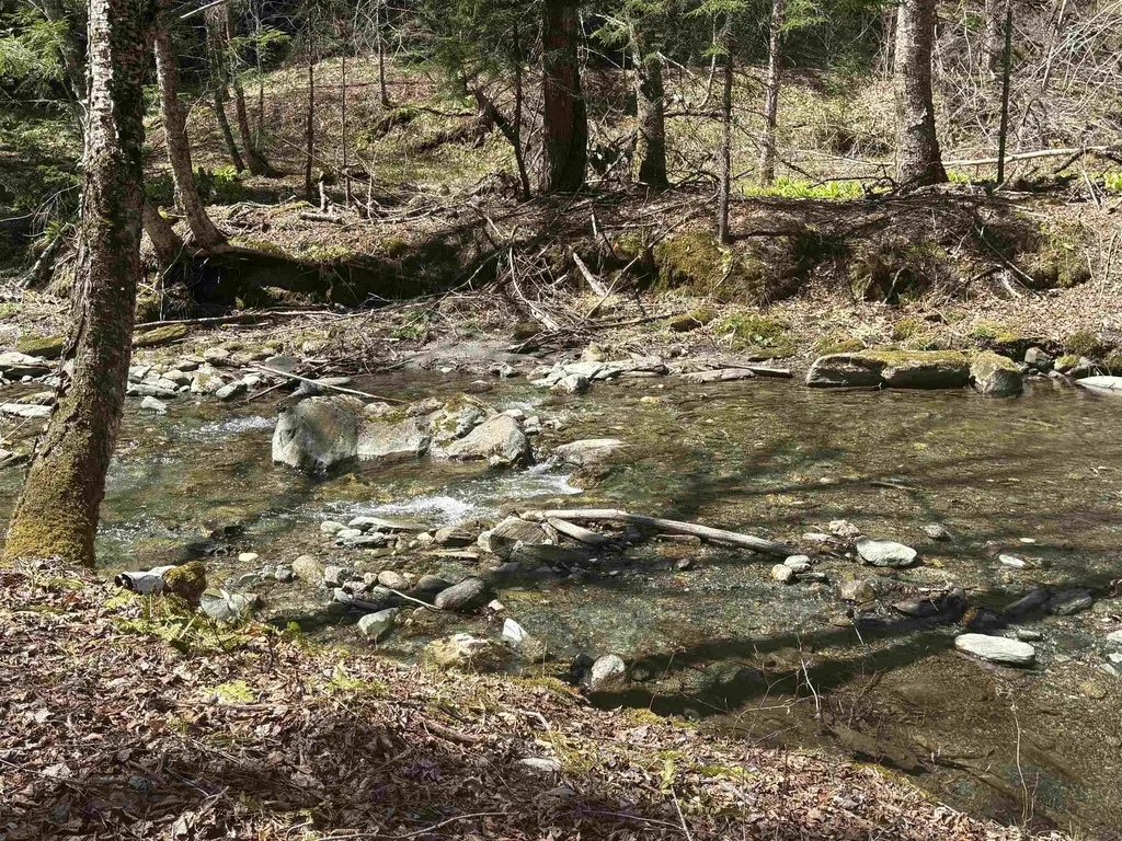 2451 Camp Brook Road Bethel VT 05032