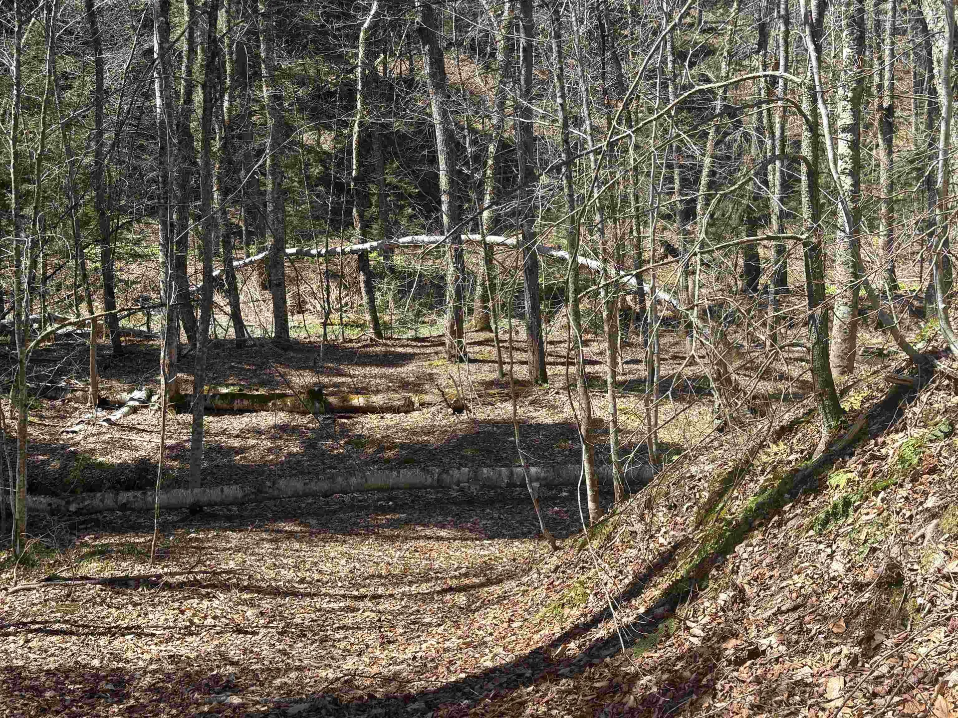 2451 Camp Brook Road Bethel VT 05032