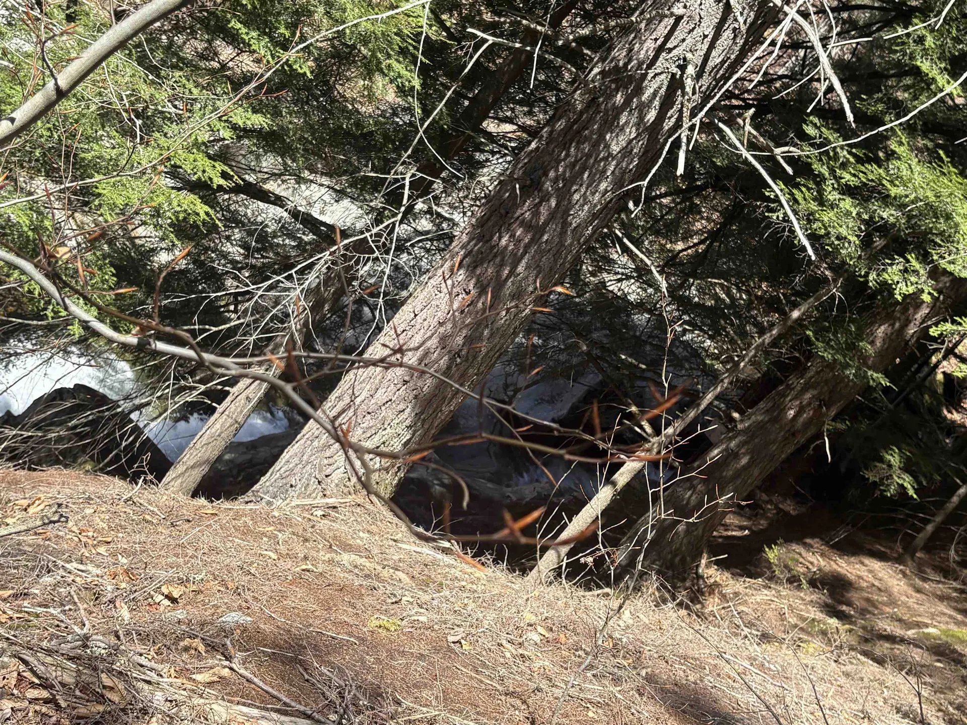 2451 Camp Brook Road Bethel VT 05032