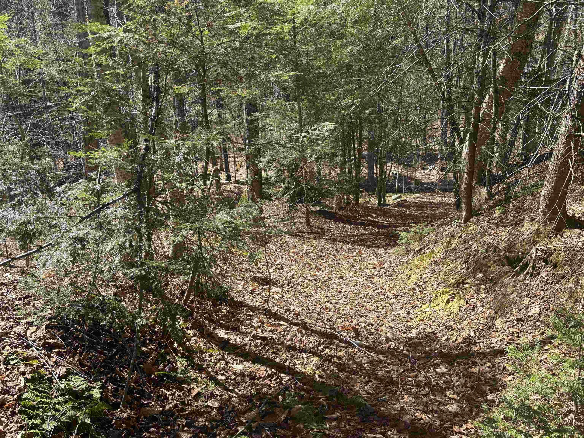 2451 Camp Brook Road Bethel VT 05032