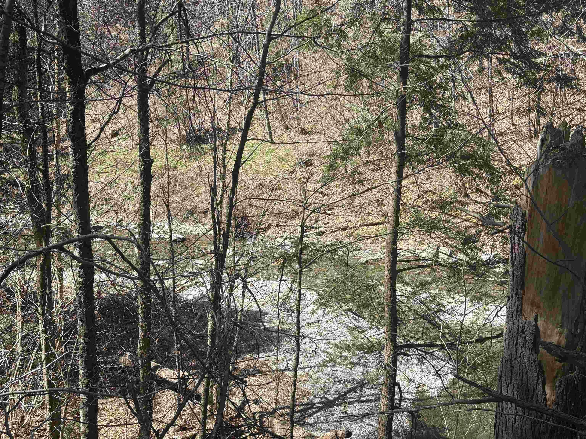 2451 Camp Brook Road Bethel VT 05032