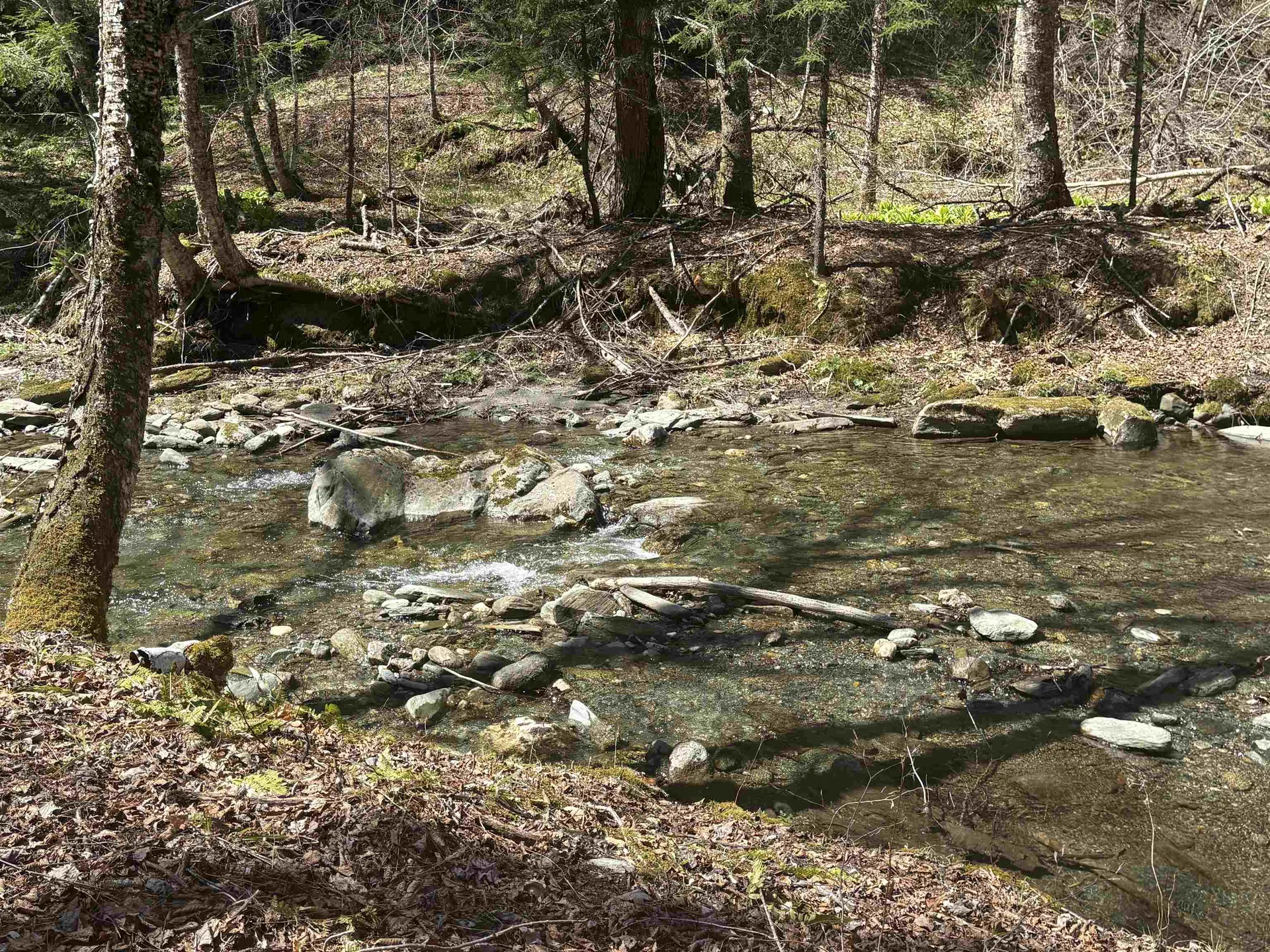 2451 Camp Brook Road Bethel VT 05032