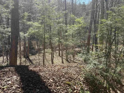 2451 Camp Brook Road Bethel VT 05032