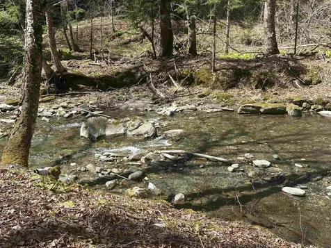 2451 Camp Brook Road Bethel VT 05032