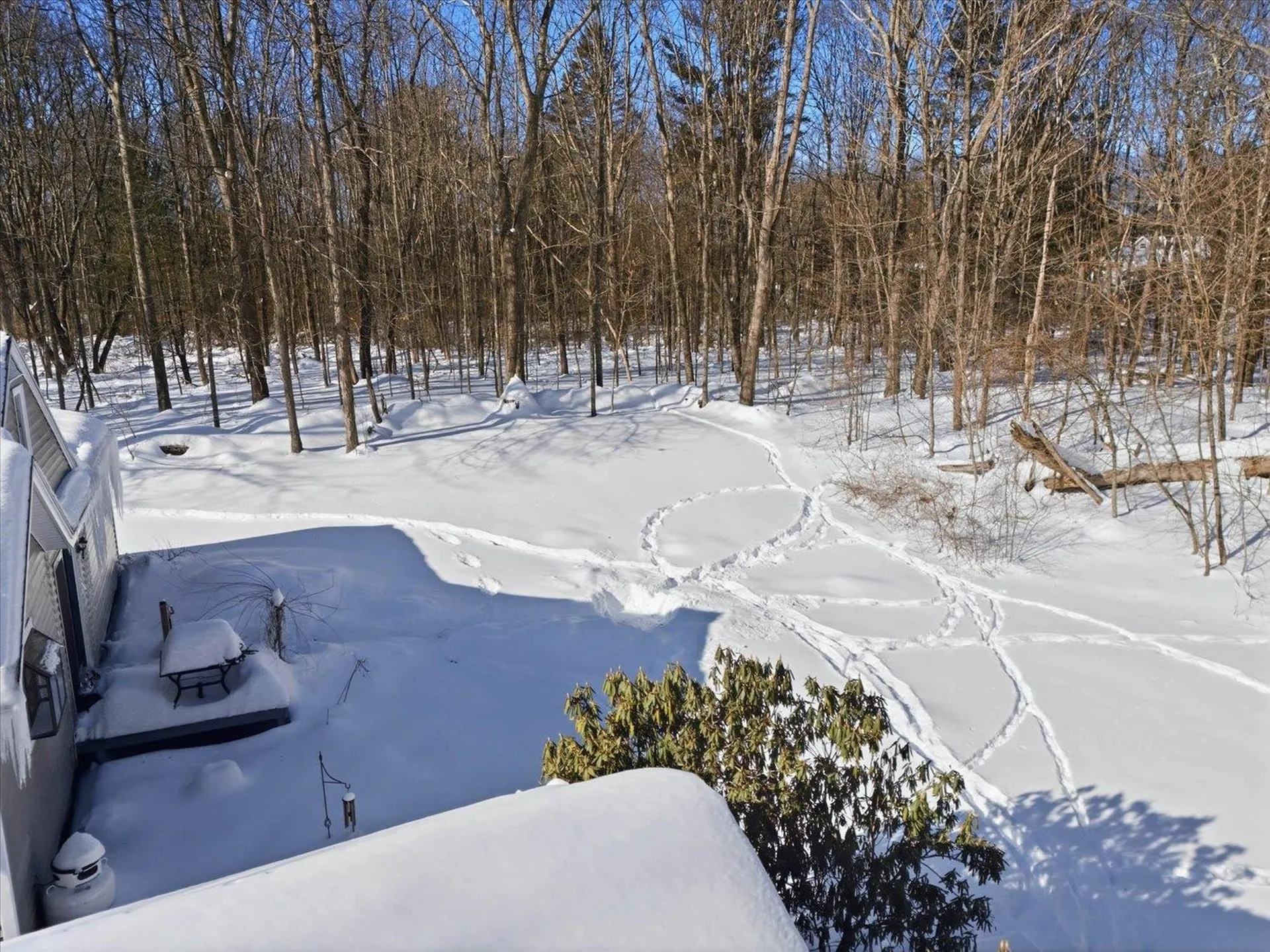 143 Walnut Avenue North Hampton NH 03862