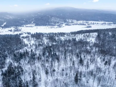 Tbd Tabor Road Pittsburg NH 03592