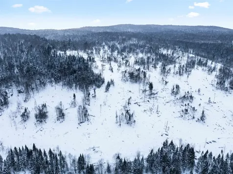 Tbd Tabor Road Pittsburg NH 03592