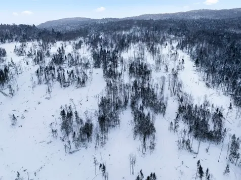 Tbd Tabor Road Pittsburg NH 03592