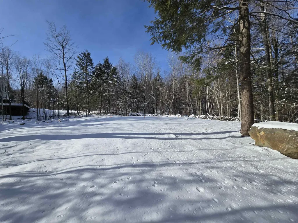 22 Viviana Drive Farmington NH 03835