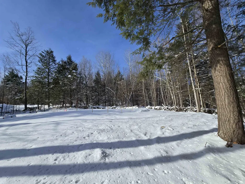 22 Viviana Drive Farmington NH 03835