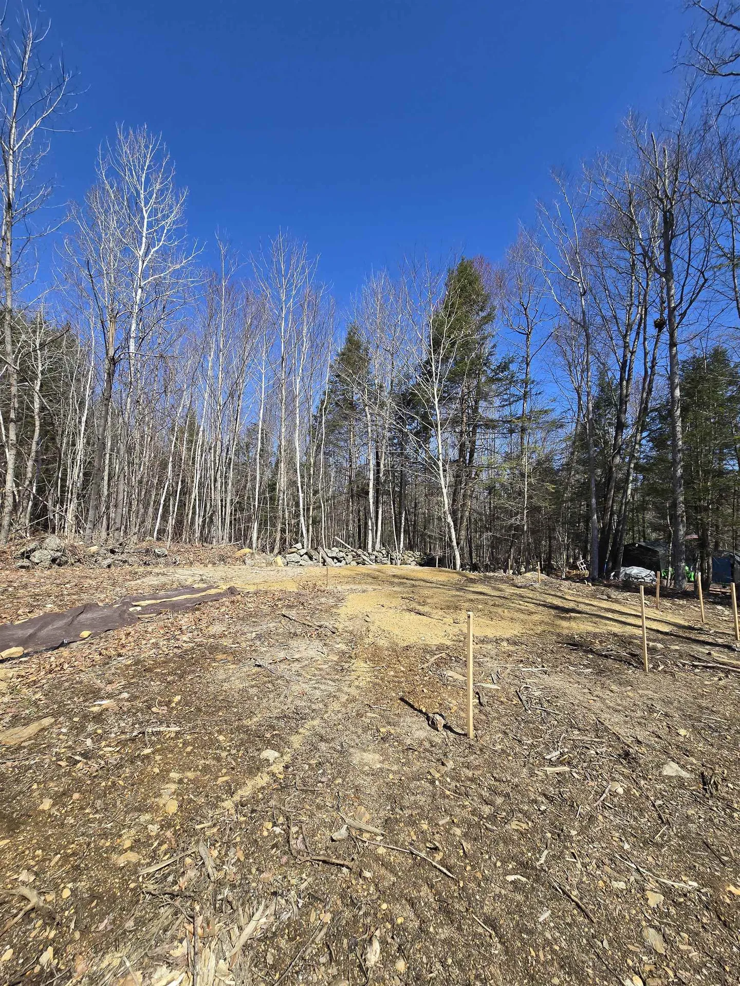 22 Viviana Drive Farmington NH 03835