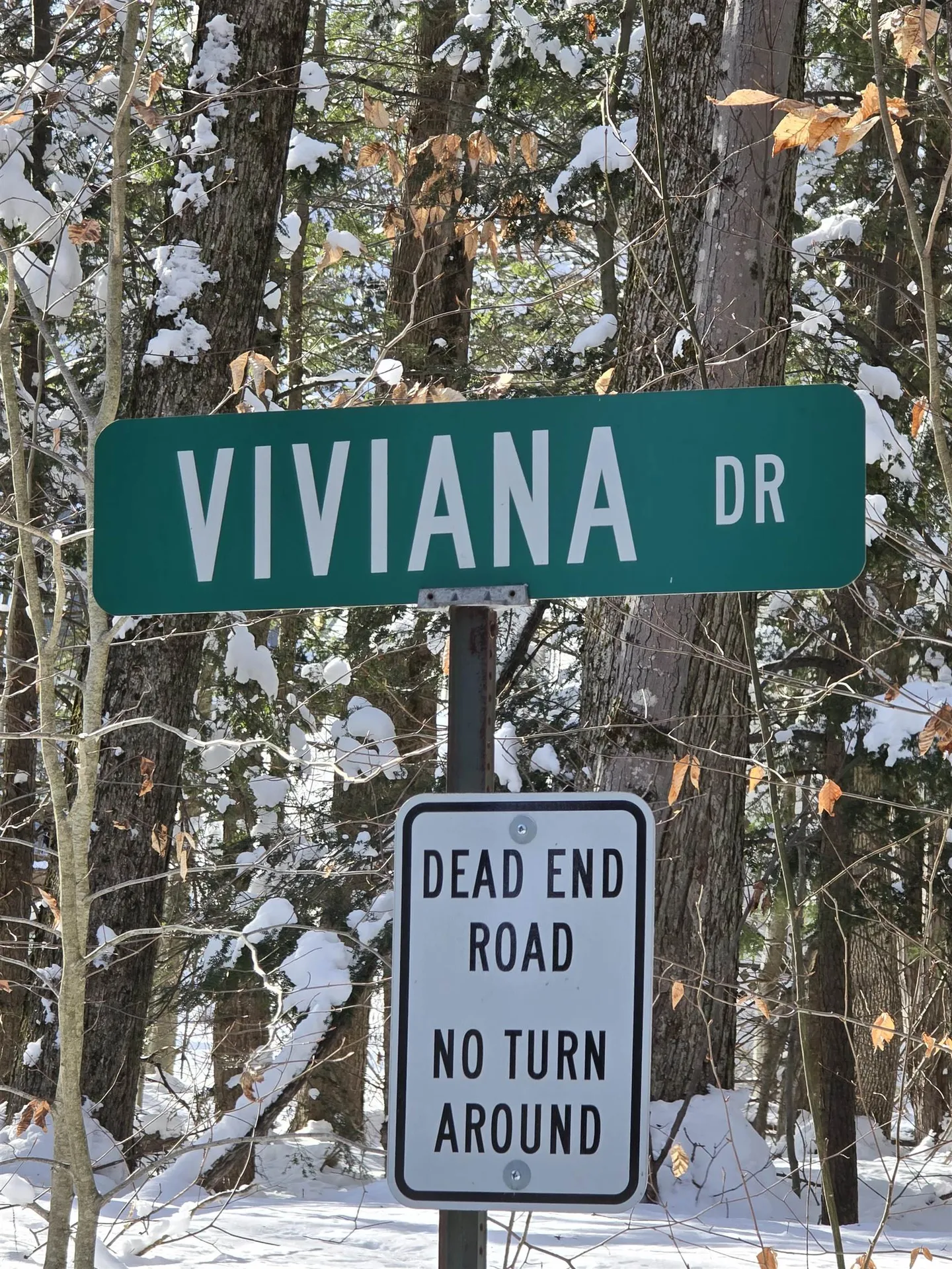 22 Viviana Drive Farmington NH 03835