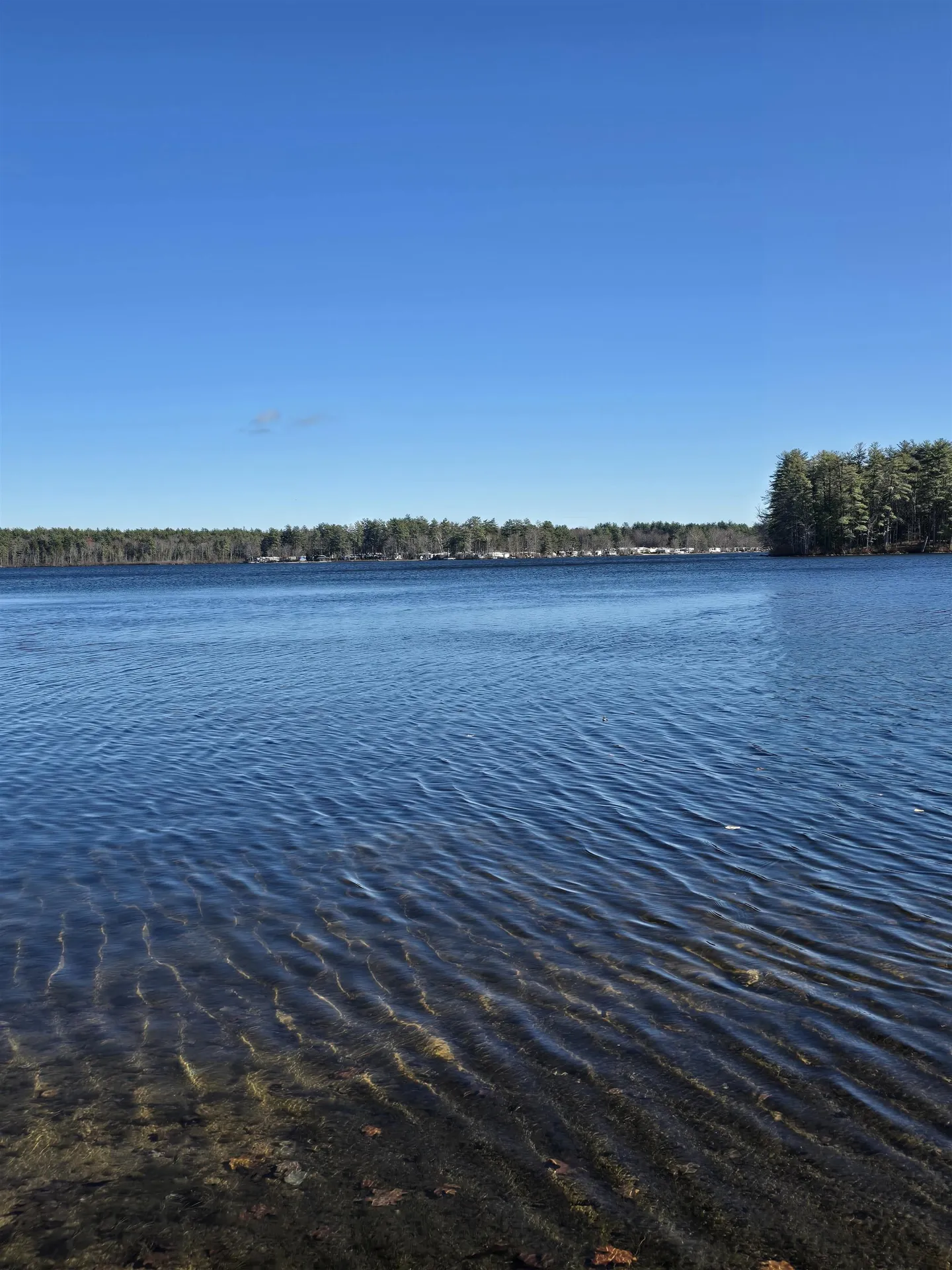 22 Viviana Drive Farmington NH 03835